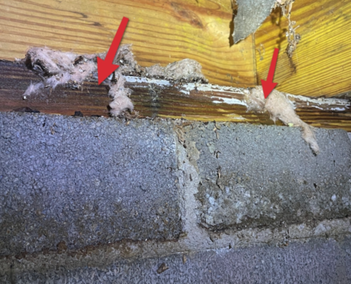 Saturated bottom plate, Murfreesboro home inspector